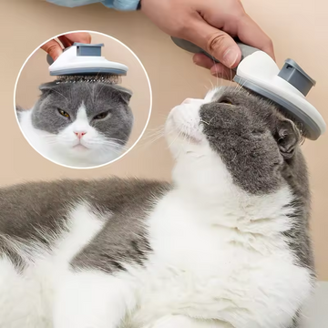 Pet Grooming And Care Brush