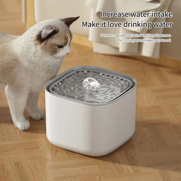 3L Cat Water Fountain