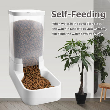 Automatic Cat Feeder and Cat Water Dispenser