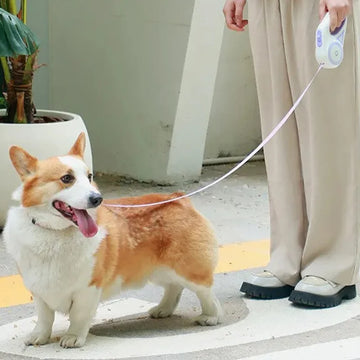 Automatic Retractable Dog Leash with Flashlight